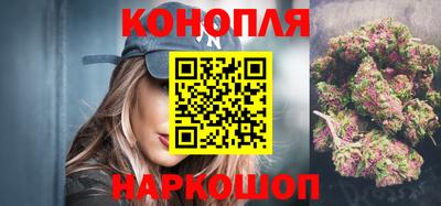 jwh Гатчина