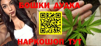 jwh Гатчина