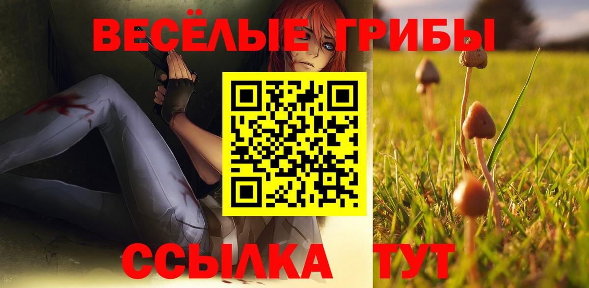 Псилоцибиновые грибы ЛСД Барнаул